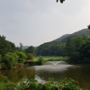 미사박사공인중개사사무소 이미지
