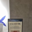 백쌀공주 | [내돈내산] 동탄 롯데백화점 팝업 '윤밤빵' 달지 않은 건강 간식 구매후기