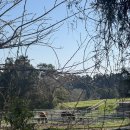 제주스카이라인휴양펜션 이미지