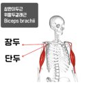 석세스짐 망포역점 이미지
