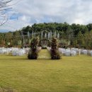 디바인밸리 이미지