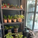 리즈플라워 | 의정부 꽃집 리즈 플라워 💐 엄마 생신 꽃다발 준비, 대만족 후기예요~