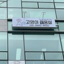 캣푸치노 이미지