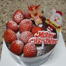 메리 샬롱 이미지