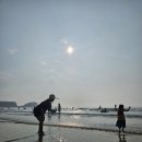 대천아도니스펜션 | [태안 만리포해수욕장] 극성수기 썬셋오션펜션 아이와 함께 여름휴가