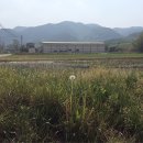 계산1리 이미지