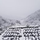 견불동산장 이미지