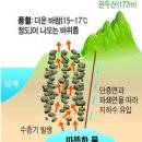 풍혈 이미지