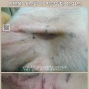 수산동천영농조합법인 이미지
