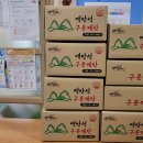 늘푸른 주식회사 Daum카페