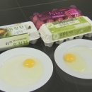 화실농장2 이미지