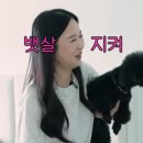 한*대