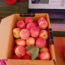 갑을농장 이미지