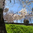 선진공원 주차장 이미지