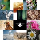 엠디바이오알파 이미지