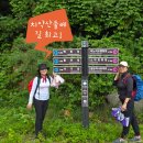 치악산둘레길 6코스 매봉산자락길 | [ 치악산둘레길 ] 원주 시민 건강을 위해 만든 길! &#39;치악산둘레길 6코스 매봉산자락길&#39; 걷기