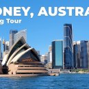 Sydney, Australia Walking Tour - 4K60fps with Captions - Prowalk Tours 이미지