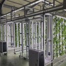 대한스마트타워 이미지