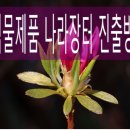 실크행정사사무소 이미지