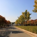 장수천변(청소년 수련관앞) | 남동문화생태누리길/걸어서 인천대공원에서 소래습지생태공원까지~~