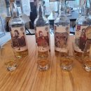 테이스팅독 이미지