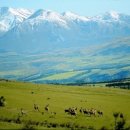 바른맥한의원 이미지