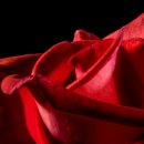 향기나라 화장품 이미지