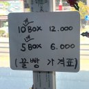 통영우체국 | 통영 강구안 꿀빵 맛집 수제감꿀빵 내돈내산 후기