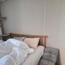 펫하우스 동물병원 | 반려동물 계단 + 동굴하우스 / 올미오펫 동굴계단