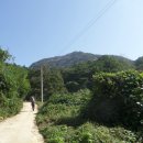 고산촌 티스토리
