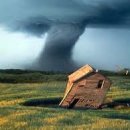 Force of Nature 이미지