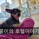 더조은동물의료센터 이미지