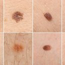 제스필의원 이미지