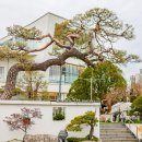 루프탑 정원 이미지