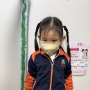 논술로 이어지는 NIE-1 이미지