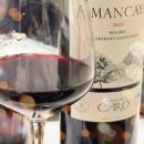 [레드와인] AMANCAYA Malbec-Cabernet Sauvignon 2021 (보데가 까로 아만까야)