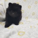 멋지개 예쁘개 이미지