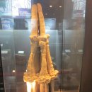 전자통신연구원 이미지