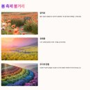 보훈회관 앞 교통섬 | 가평 자라섬 꽃 페스타 꽃축제 2025년 주차 꿀팁