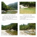 새론민박 이미지