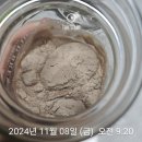 (주)비츄인 | 241109금) 스위치오프, 단풍 여행: 평창 + 8300보