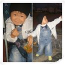 동현사 Daum카페