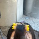 모나코 | 뿌리펌맛집 | 해피니언 강남역 모나코점 뿌리펌 후기💇🏻‍♀️