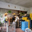 MI SHOP