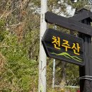 천주산 등산 도로변 이미지