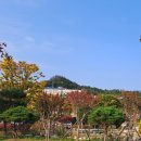 (주)뜨레 이미지