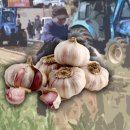 미해축산 이미지