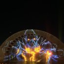 안녕김녕씨b | 키스오브더씨 공연 징단점 포함 솔직 후기 | 입장권...4천원 할인 꿀팁 공개 🎆 (제휴 코드 2F95B25109)