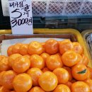 사거리청과 이미지
