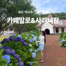 제주 동쪽 목장 먹이주기 체험 카페말로 사려니팜 후기